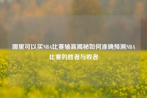 哪里可以买NBA比赛输赢揭秘如何准确预测NBA比赛的胜者与败者