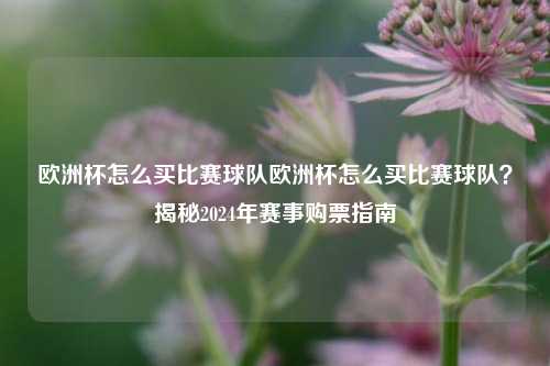 欧洲杯怎么买比赛球队欧洲杯怎么买比赛球队？揭秘2024年赛事购票指南