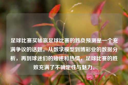 足球比赛买输赢足球比赛的胜负预测是一个充满争议的话题。从数学模型到博彩业的数据分析，再到球迷们的赌注和热情，足球比赛的胜败充满了不确定性与魅力。