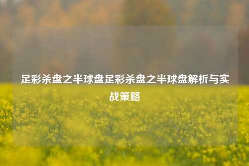 足彩杀盘之半球盘足彩杀盘之半球盘解析与实战策略