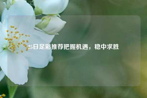 25日足彩推荐把握机遇，稳中求胜
