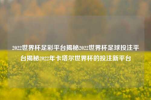 2022世界杯足彩平台揭秘2022世界杯足球投注平台揭秘2022年卡塔尔世界杯的投注新平台