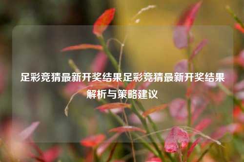 足彩竞猜最新开奖结果足彩竞猜最新开奖结果解析与策略建议