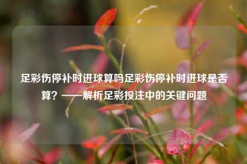 足彩伤停补时进球算吗足彩伤停补时进球是否算？——解析足彩投注中的关键问题