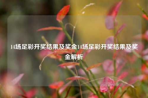 14场足彩开奖结果及奖金14场足彩开奖结果及奖金解析