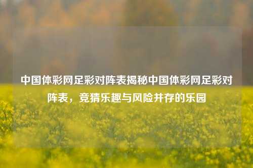 中国体彩网足彩对阵表揭秘中国体彩网足彩对阵表，竞猜乐趣与风险并存的乐园