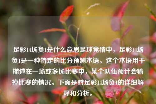 足彩14场负1是什么意思足球竞猜中，足彩14场负1是一种特定的比分预测术语。这个术语用于描述在一场或多场比赛中，某个队伍预计会输掉比赛的情况。下面是对足彩14场负1的详细解释和分析。