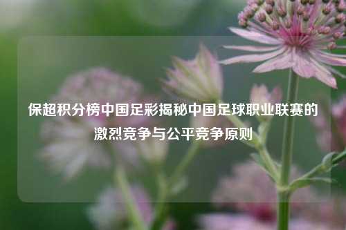保超积分榜中国足彩揭秘中国足球职业联赛的激烈竞争与公平竞争原则