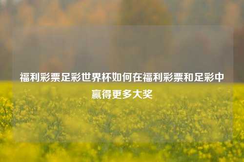 福利彩票足彩世界杯如何在福利彩票和足彩中赢得更多大奖