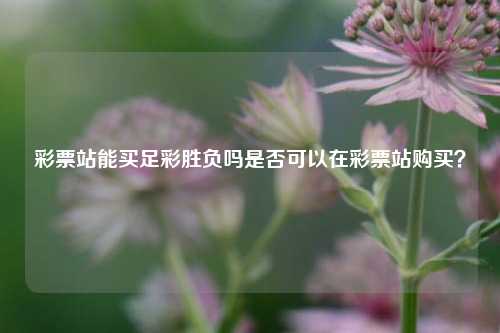 彩票站能买足彩胜负吗是否可以在彩票站购买？
