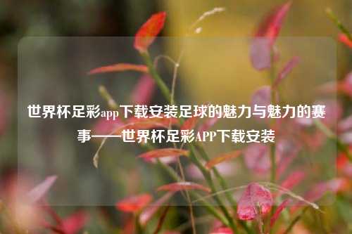 世界杯足彩app下载安装足球的魅力与魅力的赛事——世界杯足彩APP下载安装