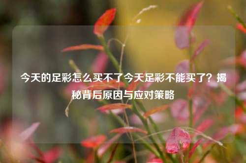 今天的足彩怎么买不了今天足彩不能买了？揭秘背后原因与应对策略