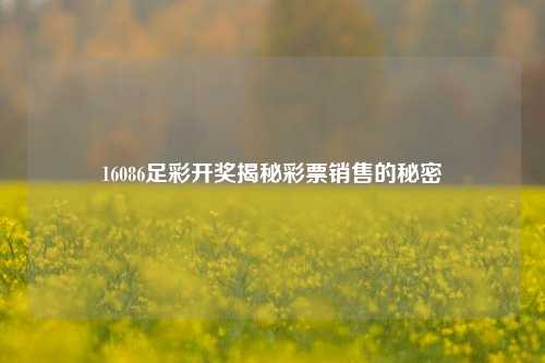 16086足彩开奖揭秘彩票销售的秘密