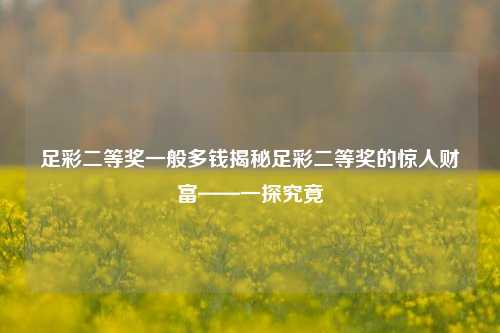 足彩二等奖一般多钱揭秘足彩二等奖的惊人财富——一探究竟