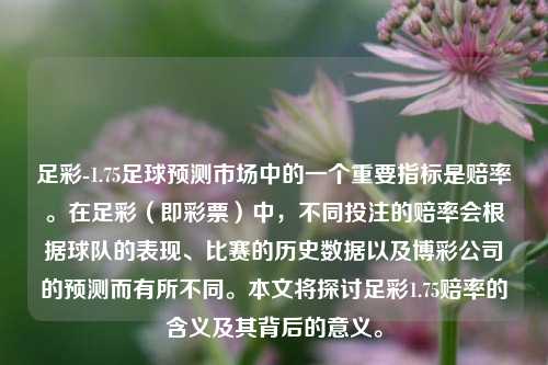 足彩-1.75足球预测市场中的一个重要指标是赔率。在足彩（即彩票）中，不同投注的赔率会根据球队的表现、比赛的历史数据以及博彩公司的预测而有所不同。本文将探讨足彩1.75赔率的含义及其背后的意义。
