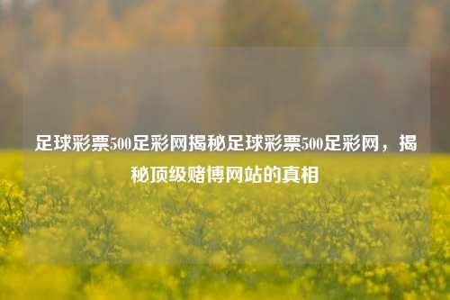 足球彩票500足彩网揭秘足球彩票500足彩网，揭秘顶级赌博网站的真相