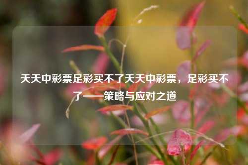 天天中彩票足彩买不了天天中彩票，足彩买不了——策略与应对之道