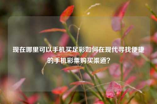 现在哪里可以手机买足彩如何在现代寻找便捷的手机彩票购买渠道？