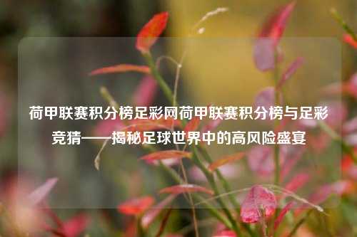 荷甲联赛积分榜足彩网荷甲联赛积分榜与足彩竞猜——揭秘足球世界中的高风险盛宴