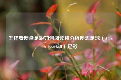 怎样看澳盘足彩如何阅读和分析澳式足球（Aussie Football）足彩
