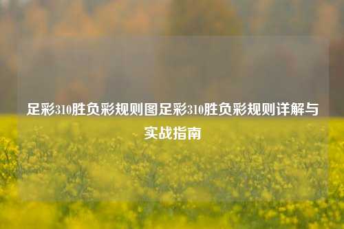 足彩310胜负彩规则图足彩310胜负彩规则详解与实战指南