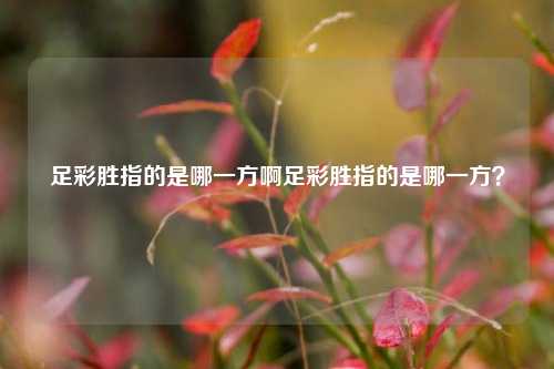 足彩胜指的是哪一方啊足彩胜指的是哪一方？