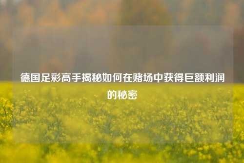 德国足彩高手揭秘如何在赌场中获得巨额利润的秘密